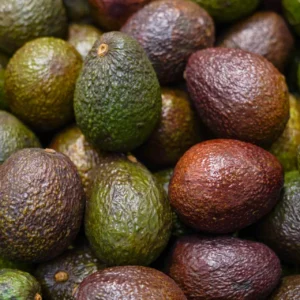 Avocats Hass
