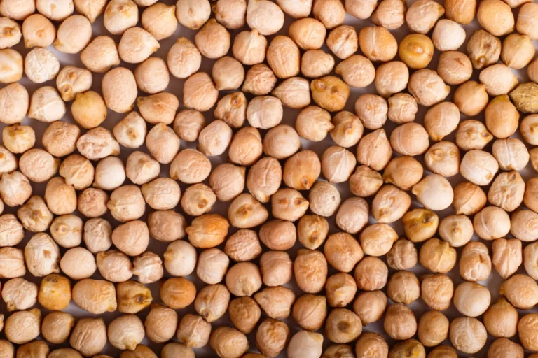 Légumineuses Pois chiche