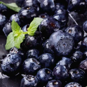 Myrtilles Biloxi