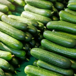 Concombres Long
