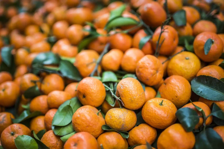 Clémentines Nadorcott